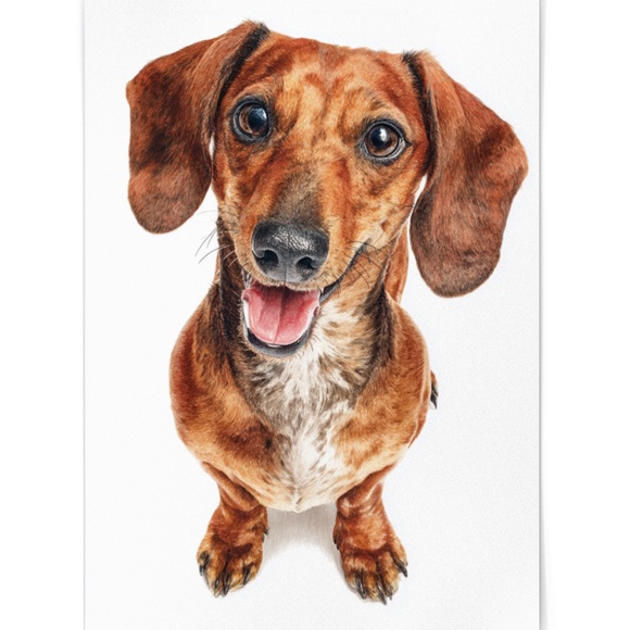 Watercolor Dachshund Dog Portrait Art Print – Unframed Fine Art Poster - Picture 2 of 5